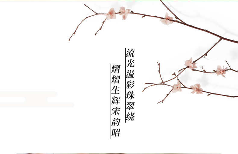 P182-金翅鳥冠詳情頁_12.jpg