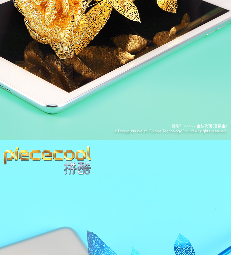 P099-金枝玫瑰-詳情頁(yè)_04.jpg