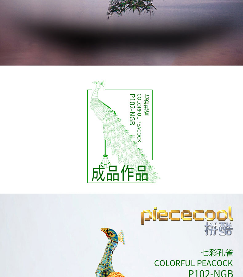 P102-七彩孔雀_03.jpg