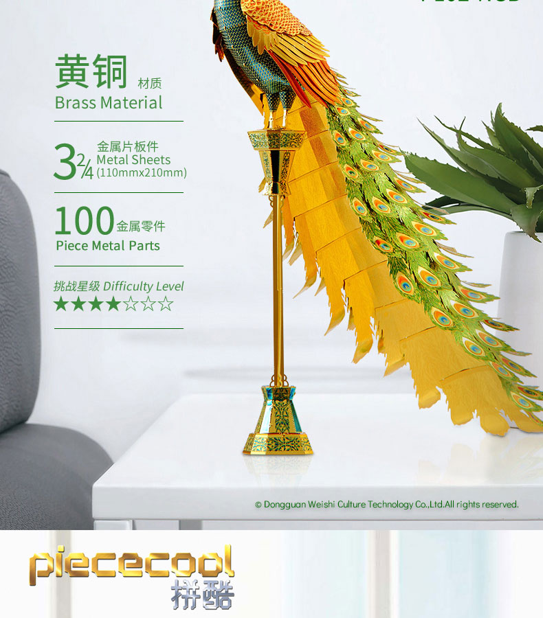P102-七彩孔雀_04.jpg