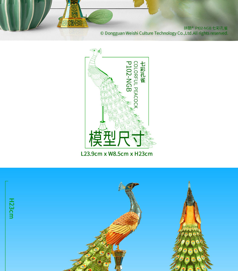P102-七彩孔雀_07.jpg