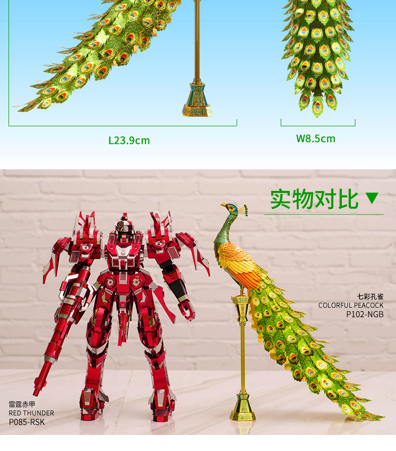 P102-七彩孔雀_08.jpg