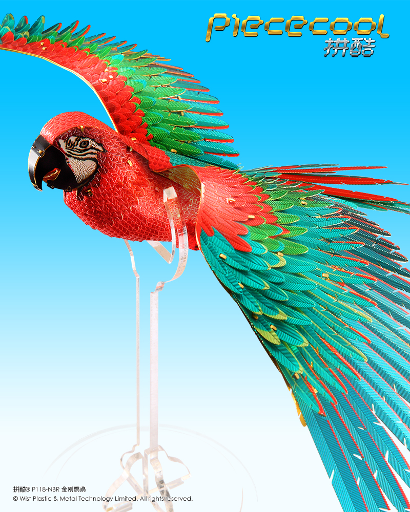 拼酷_P118-NBR-金剛鸚鵡_官方發布圖800px_7.jpg